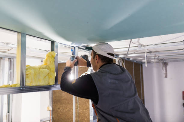 Garage Insulation Installation in Dove Valley, CO